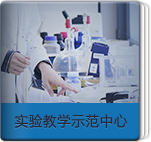 上海五星体育官方线路